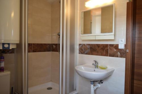a bathroom with a sink and a shower at Ubytování Třináctka in Zásada