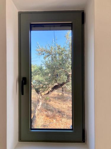 a window with a view of a tree in a field at Mitso's House Mani in Exochori