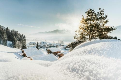 a village covered in snow with a tree in the background at Clofers Leisure Lodges Jenig in Jenig