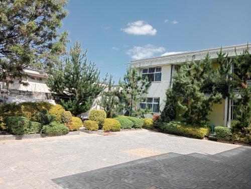 a courtyard in front of a building with bushes at Avi-Pension in Addis Ababa