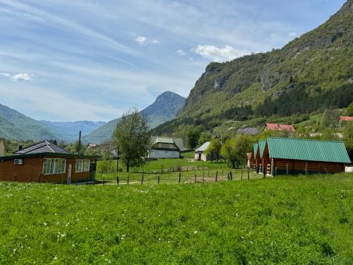 a village in a field with mountains in the background at Gusinje View in Gusinje