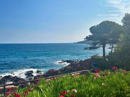 a view of the ocean with a tree and flowers at Santa Margarita in Saint-Raphaël
