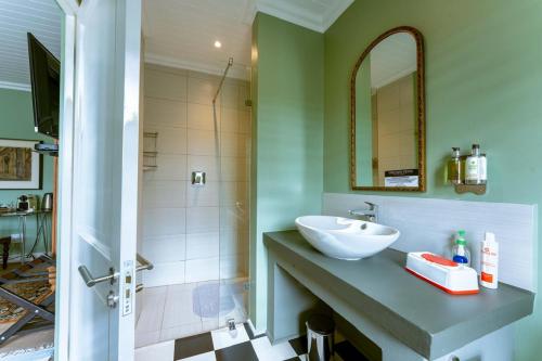 a bathroom with a sink and a shower at Vineyard Views Country House in Riebeek-Kasteel