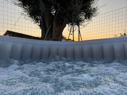 Φωτογραφία από το άλμπουμ του Residenza De Vita στην Tropea
