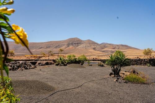 a view of a desert with mountains in the background at Aloha Studio in La Oliva