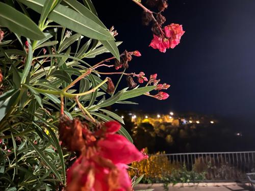 Κήπος έξω από το Appartement Eze Village proche Monaco fabuleuse vue mer et vieux village
