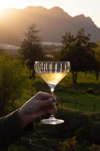 a person holding a wine glass in the sunset at Vineyard Views Country House in Riebeek-Kasteel