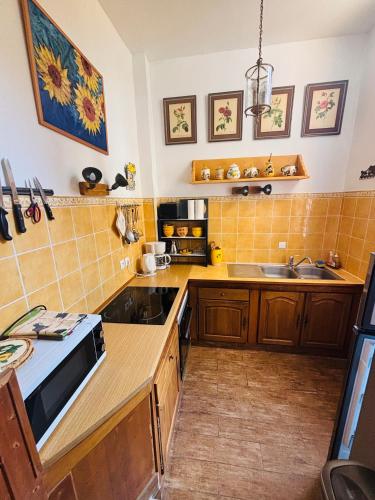 une cuisine avec un évier et un plan de travail dans l'établissement T2 City Center MENTON, à Menton