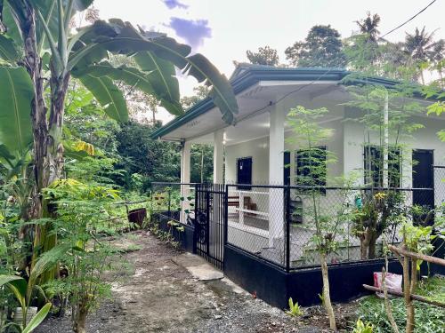 a small white house in the middle of a garden at Publikhaus in Caliclic