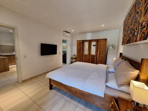 a bedroom with a large bed and a television at Forest View Apartments in Kololi