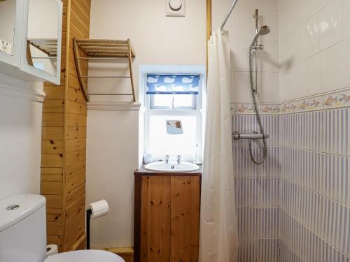 a bathroom with a sink and a shower and a toilet at Cae Tanws Bach in Dolgellau