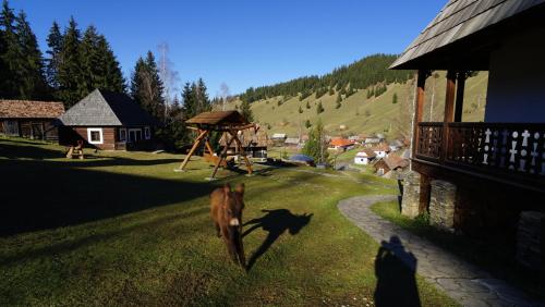 a dog walking on the grass next to a house at Gyimesi Skanzen in Valea Boroş