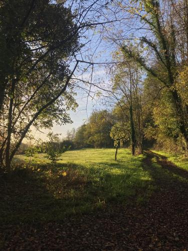 a field of grass with trees and a path at Cottage authentique et chaleureux entre Pau et Lourdes pour 7 personnes in Nousty