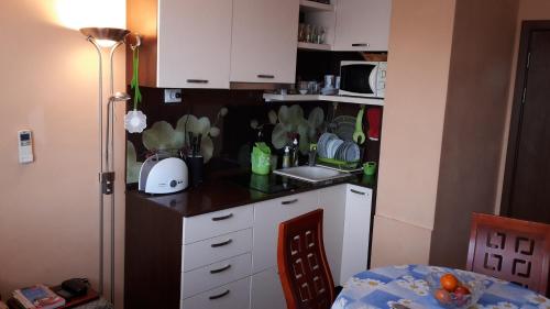 eine Küche mit einer Spüle und einer Arbeitsplatte in der Unterkunft Dom Lidiya in Pomorie
