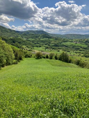 a field of green grass with mountains in the background at Tuscany Nature Relax in Pieve Santo Stefano