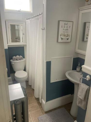 a bathroom with a toilet and a sink at Beautiful West End Apartment in Portland