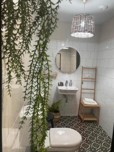 a bathroom with a toilet and a sink at As Miguiñas do Cebreiro in Pedrafita do Cebreiro