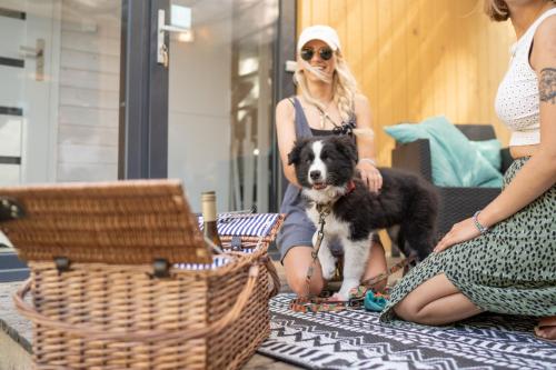 Una donna tiene un cane al guinzaglio di Pod Cyprysami - surf & family resort a Jastarnia