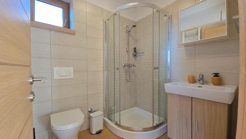 a bathroom with a shower and a toilet and a sink at Komforna planinska kuća za odmor in Mrkopalj