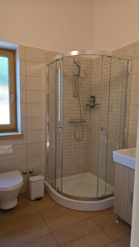 a bathroom with a shower with a toilet and a sink at Komforna planinska kuća za odmor in Mrkopalj