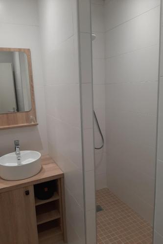 a white bathroom with a sink and a mirror at Gîtes plouraboué "Lou Chai" in Navailles-Angos
