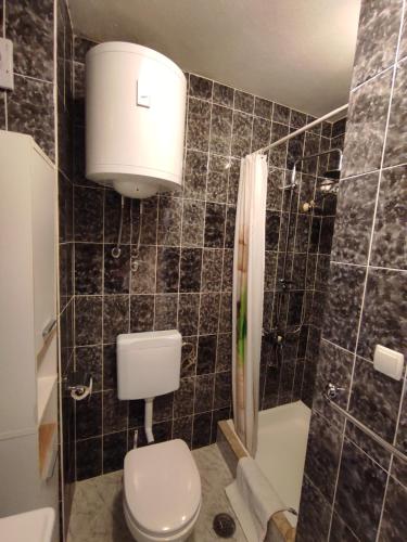 a bathroom with a toilet and a shower at Apartment Topic in Baška Voda