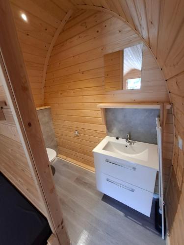 a bathroom with a sink and a toilet at Pod in Wijster