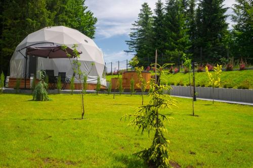 Сад в Glamp Mała Łąka Jacuzzi & Sauna Zakopane