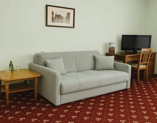 a living room with a couch and a tv at Hotel Solaris in Toruń