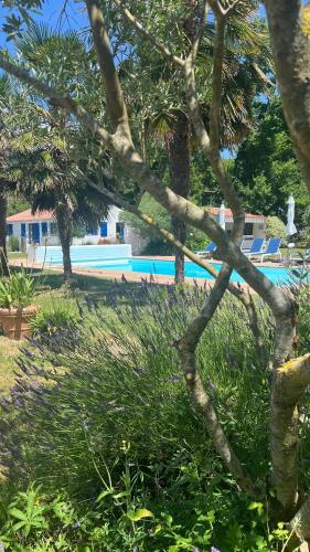 Πισίνα στο ή κοντά στο Gîtes de charme "l'écrin de Vendée" jacuzzi privatif, piscine chauffée, prestations bien être, vélos à 10 mn de l'océan sur 3,5 h de verdure