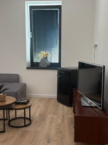 Televisyen dan/atau pusat hiburan di Apartmán u Andy