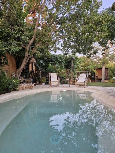Gallery image of Mediterranean house with a pool, 10 min from sea in ‘En Ayyala