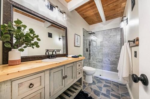 a bathroom with a sink and a toilet and a shower at Boho Hideaway in Kings Beach