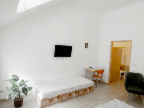 a room with a bed and a tv on a wall at Penzion U Hradeb in Znojmo