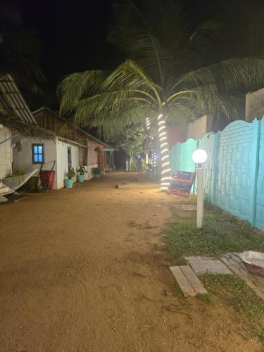 a palm tree in the middle of a street at night at Hotel Angel Inn Beach in Trincomalee