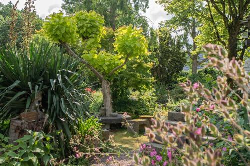 a garden with a tree and a bench at Prachtig genieten in het groen met royale tuin in Hansweert
