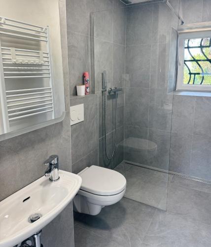 Un baño de Kosovy