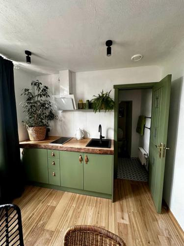 a kitchen with a green cabinet and a sink at Four Seasons Apartments in Tukums