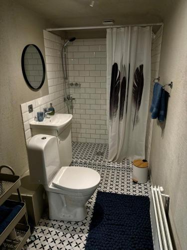 a bathroom with a white toilet and a shower at Four Seasons Apartments in Tukums
