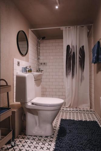 a bathroom with a toilet and a shower curtain at Four Seasons Apartments in Tukums