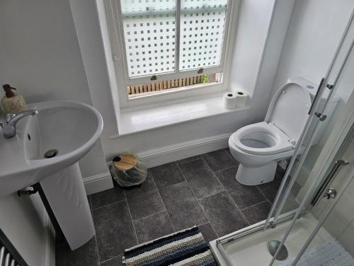 a bathroom with a toilet and a sink and a window at The Bulls Head Hotel in Youlgreave