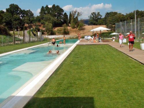a group of people in a swimming pool at Apartment Stalla by Interhome in Sasso Pisano