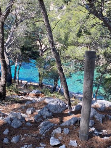 a group of trees and rocks next to a body of water at LE MUGEL cocooning SPA et proche calanques de Cassis in Carnoux
