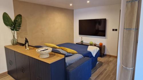 a bedroom with a blue bed and a flat screen tv at LE MUGEL cocooning SPA et proche calanques de Cassis in Carnoux