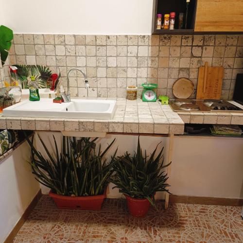Green Home