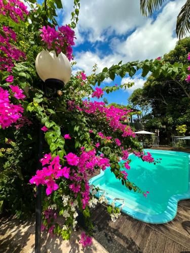 a bunch of flowers next to a swimming pool at Hotel Borari in Alter do Chao