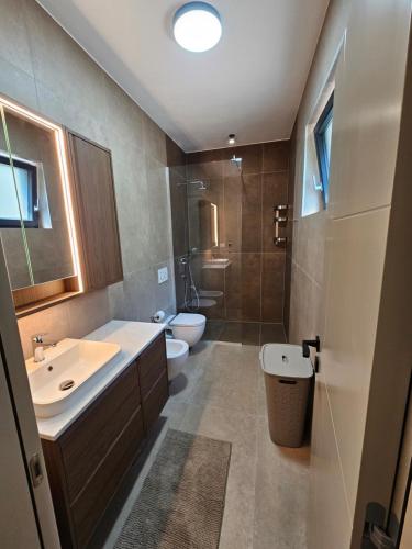 a bathroom with a sink and a toilet and a shower at Vila Aurora in Vrsar