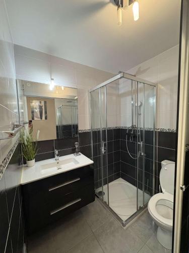 une salle de bain avec une douche, des toilettes et un lavabo dans l'établissement Cap d'agde naturiste 2 pers, au Cap d'Agde