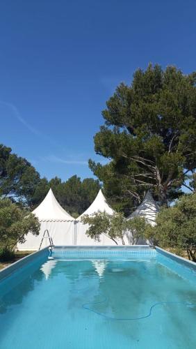 une piscine avec des tentes blanches en arrière-plan dans l'établissement L' Aglandau Au coeur des oliviers en Provence, à Pélissanne