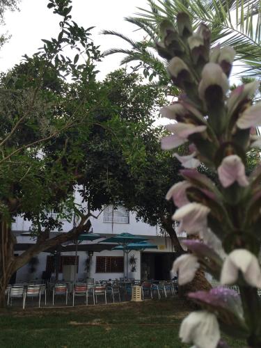 a building with chairs and trees in front of it at Hotel La Residence Hammamet in Hammamet